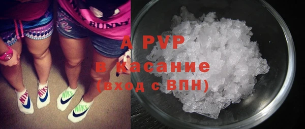 молекула духа Ахтубинск