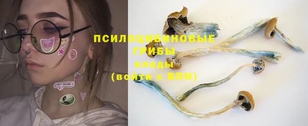 молекула духа Ахтубинск