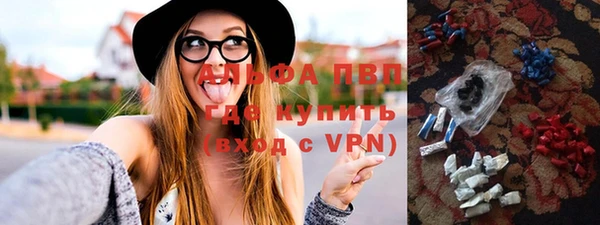 сатива Бабаево
