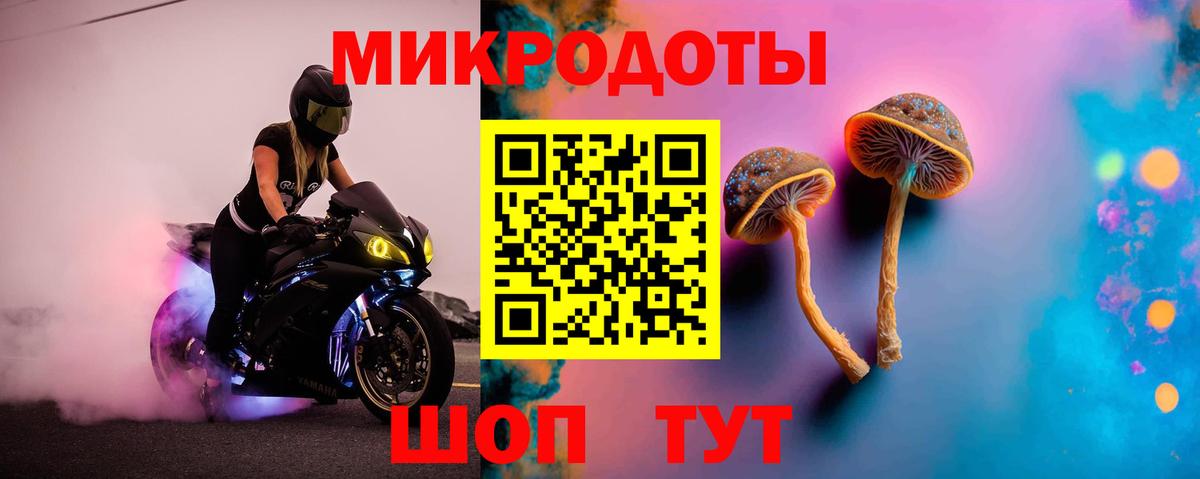 Вязьма  Псилоцибиновые грибы MAGIC MUSHROOMS  Вход с VPN  Галлюциногенные грибы Magic Shrooms 